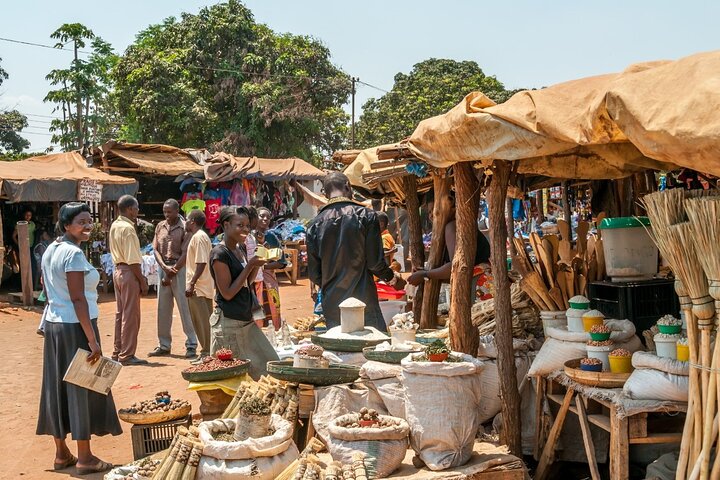 Private Exotic Zambia Cultural Half-Day Tour
