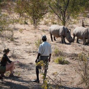 Private Rhino Walking Safari Experience from Livingstone