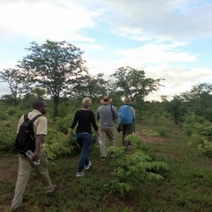 Rhino & Nature walk in the Musiotunya National Park