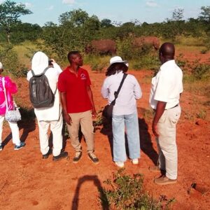 Rhino Walk Safari