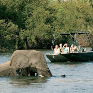 River Safari