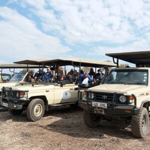 South Luangwa National Park Safari Game Drive