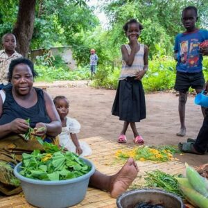 Village Tour Through Livingstone