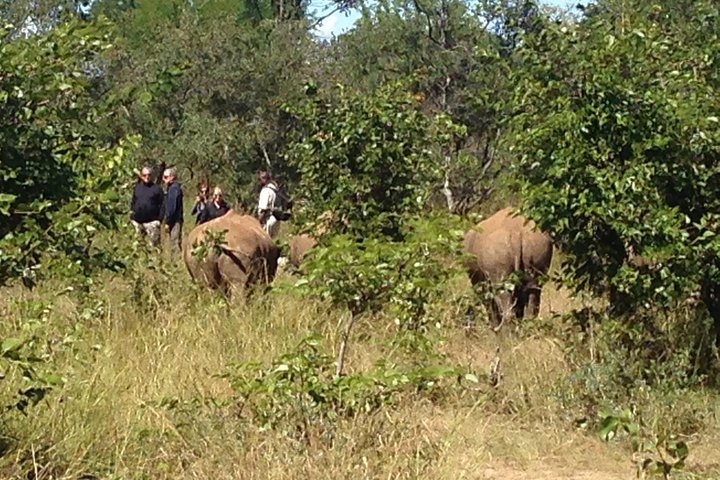 Walking Safari in Mosi-Oa-Tunya National Park from Livingstone