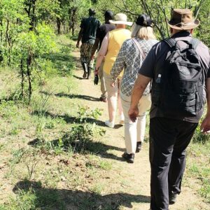 White Rhino Private Walking Safari