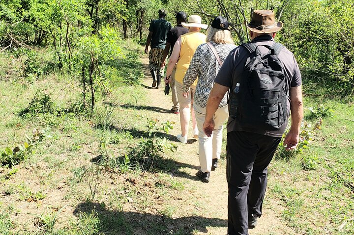 White Rhino Private Walking Safari