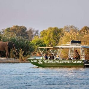 Zambezi River Safari